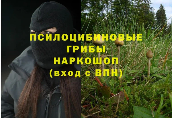 a pvp Баксан