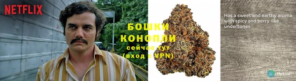 гашик Балабаново