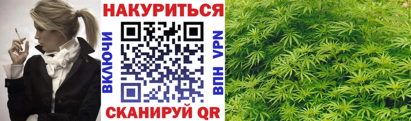 Бошки марихуана THC 21%  Кудрово 